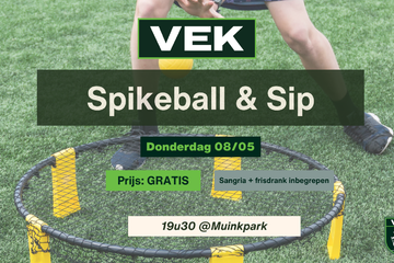Spikeball.png